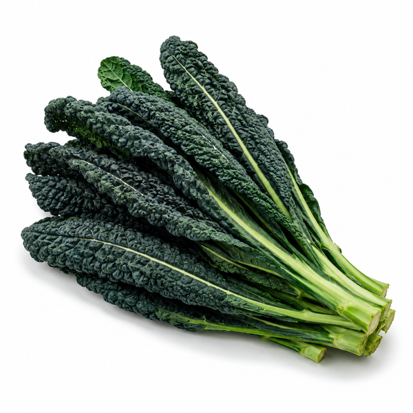 Cavalo Nero