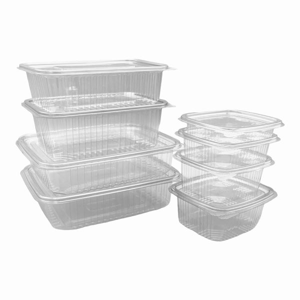 MG Clear Hinged Plastic Container (8 sizes)