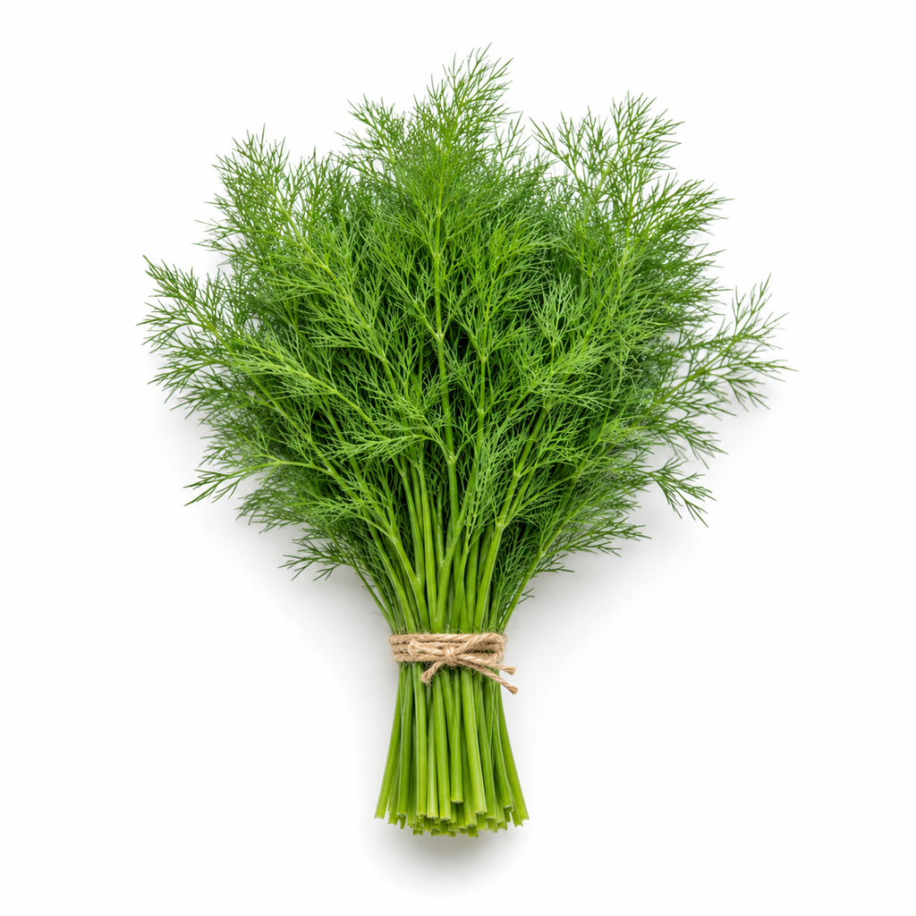 Dill