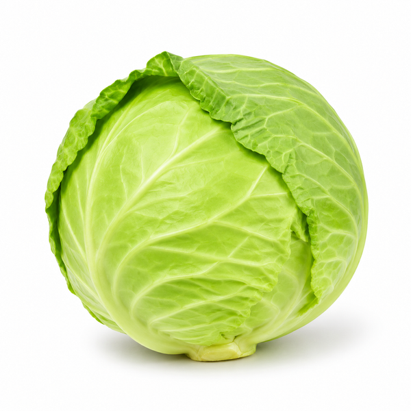 Green Cabbage