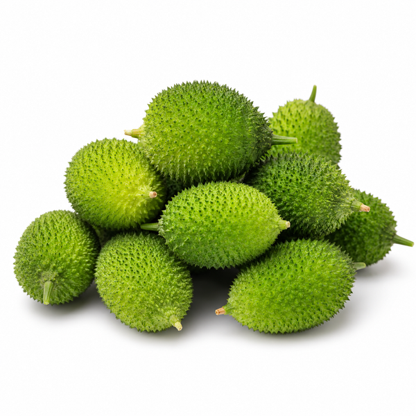 Kantola
