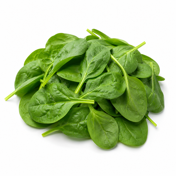 Leaf - Spinach Baby