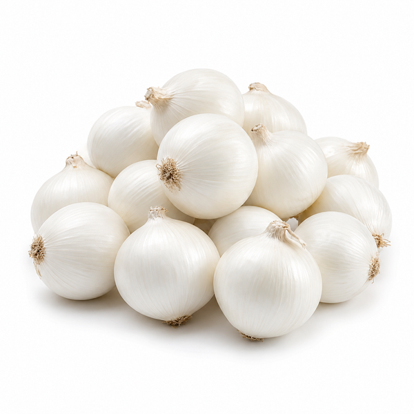 Onion White