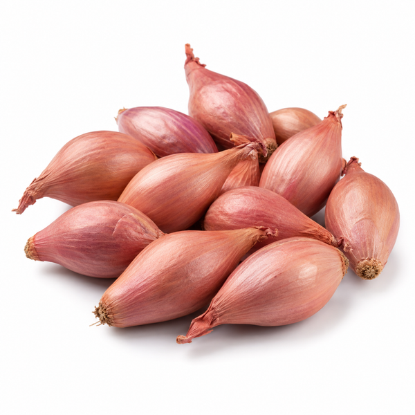 Shallot Onion