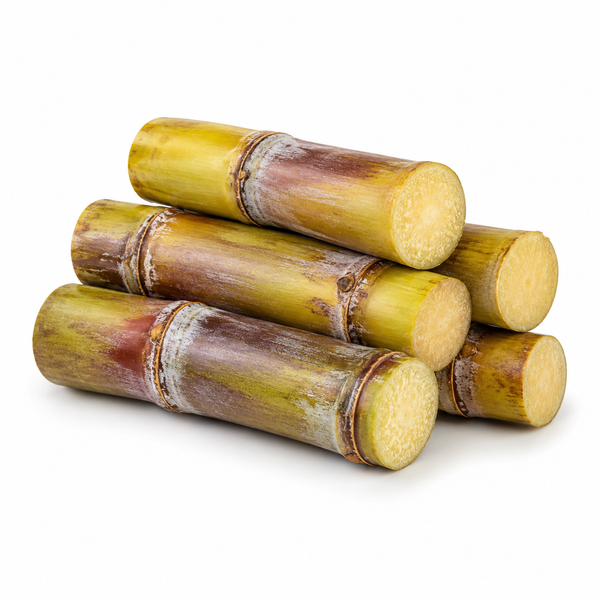 Sugar Cane - Cut