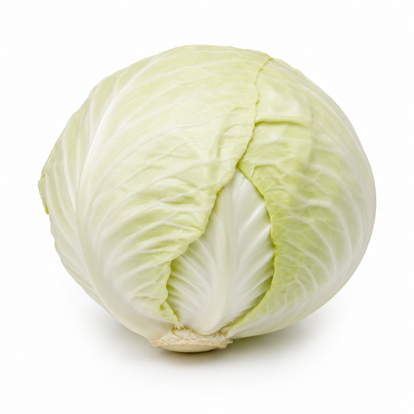 White Cabbage