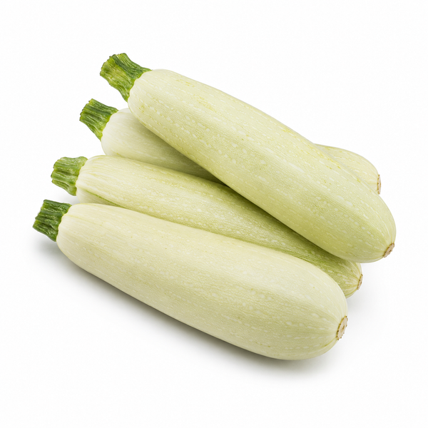 White Courgette