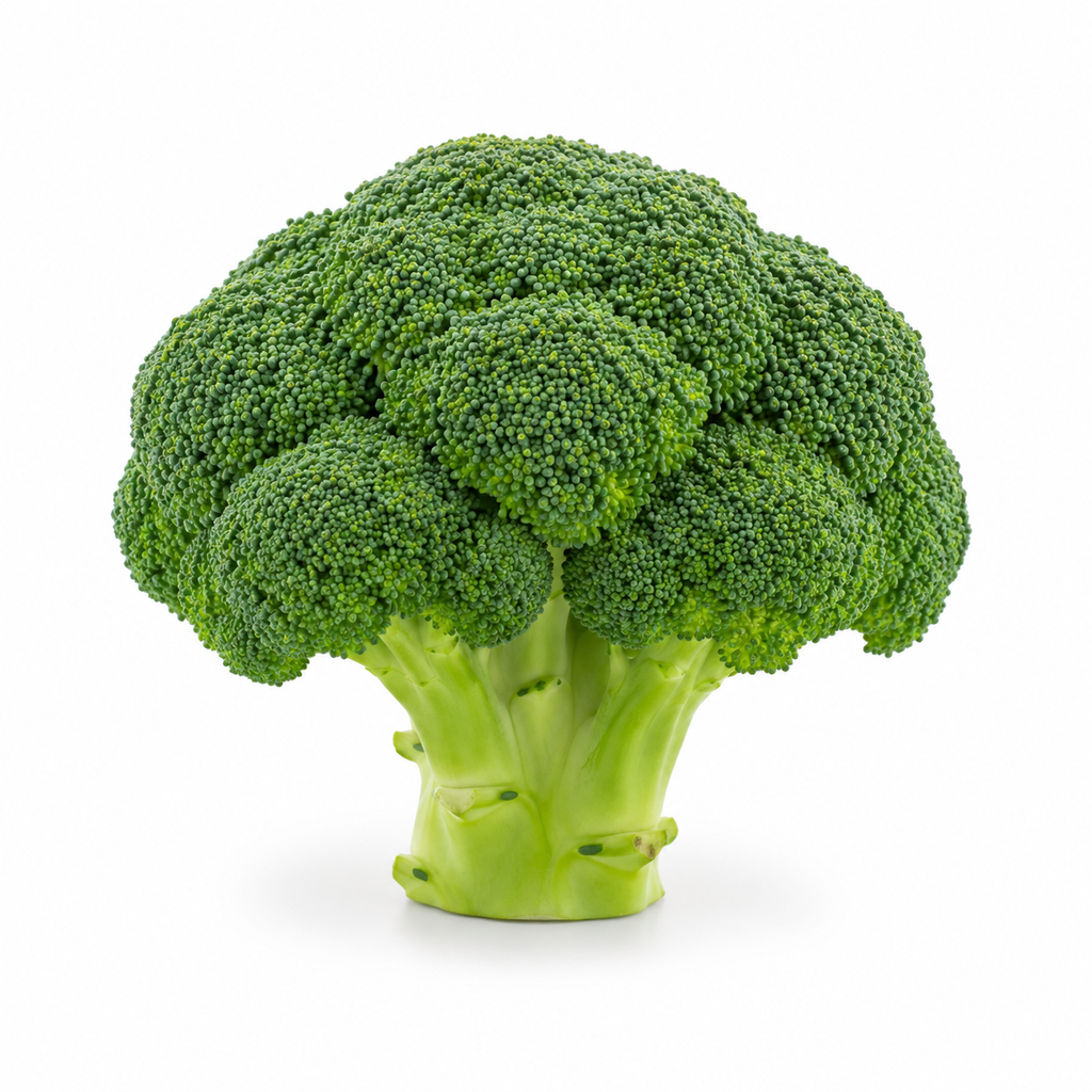 Broccoli