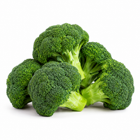 Broccoli