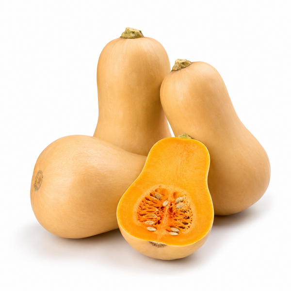 Butter Nut