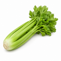 Celery