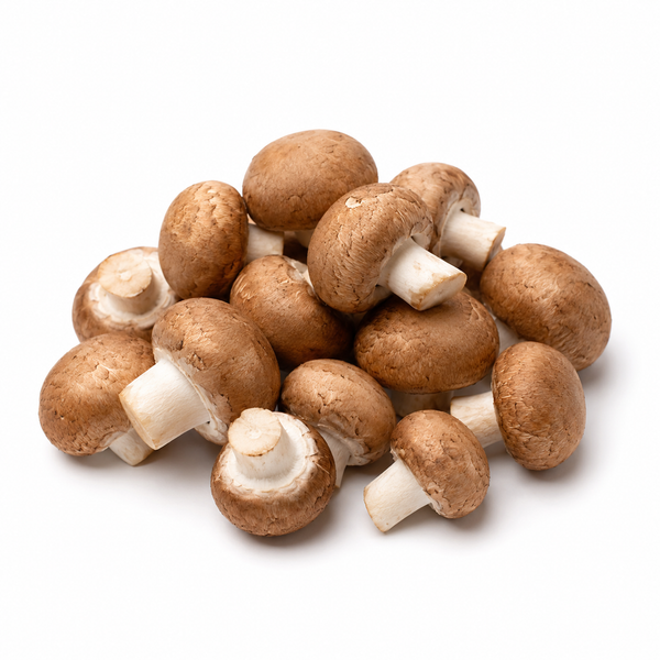Chestnut Mushroom