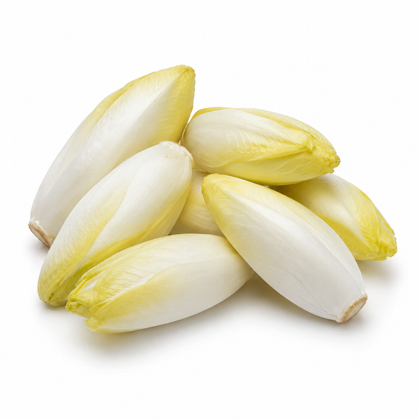 Chicory