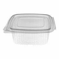 Clear Hinged Plastic Container (8 sizes)