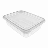 Clear Hinged Plastic Container (8 sizes)