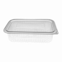 Clear Hinged Plastic Container (8 sizes)