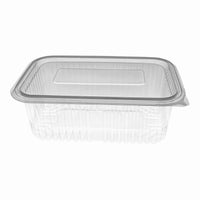 Clear Hinged Plastic Container (8 sizes)