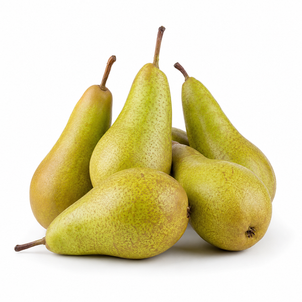 Conference Pear
