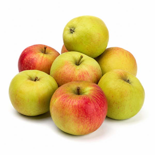 Cooking Apple