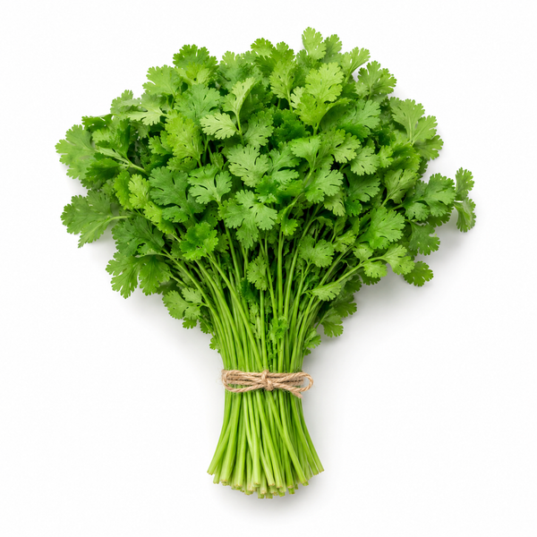 Coriander