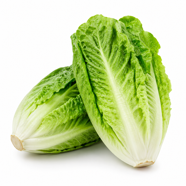 Cos Lettuce