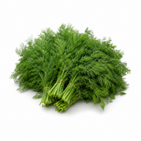 Dill