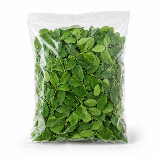 Drumstick Leaves