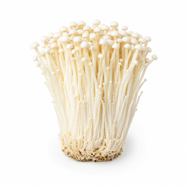 Enoki Mushroom