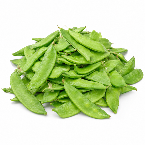 G Papdi