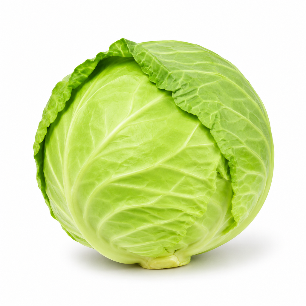 Green Cabbage