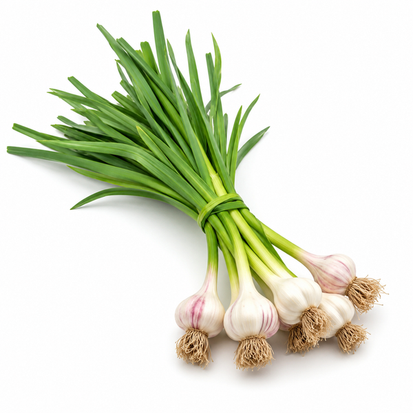 Green Garlic