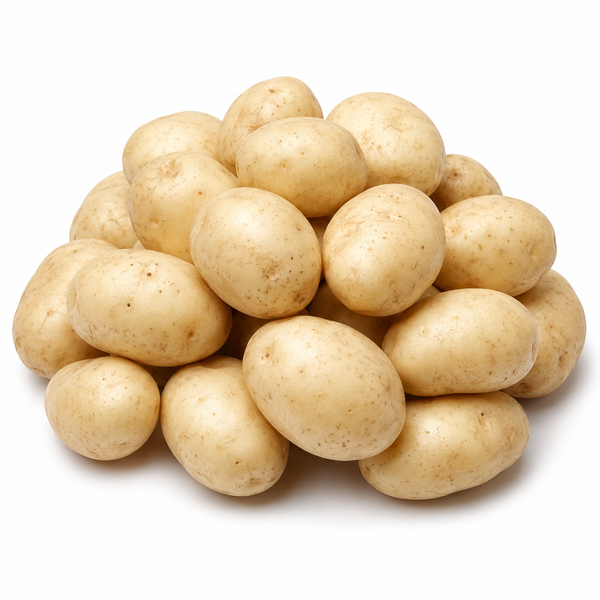 HTP White Potato
