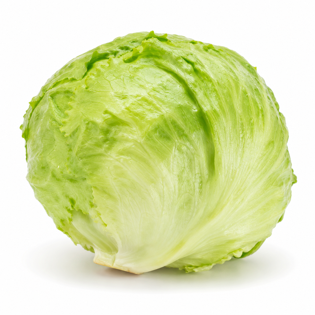 Iceberg Lettuce