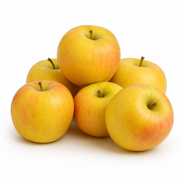 Jona Gold Apple