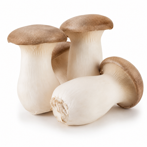 King Mushroom
