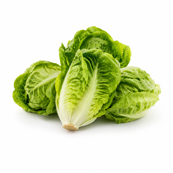 Little Gem Lettuce