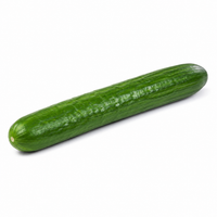 Long Cucumber