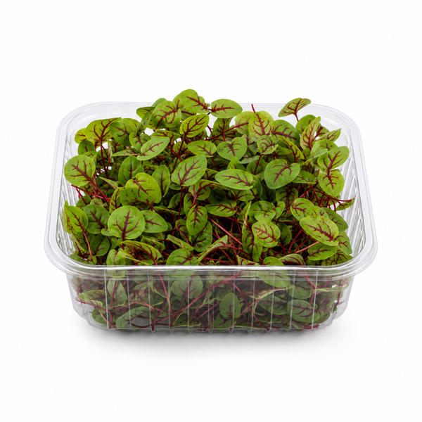 Micro Herb - Red Vein Sorrel