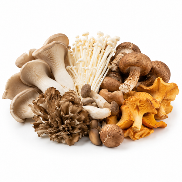 Mushroom Mixed Wild