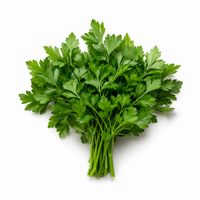 Parsley