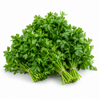 Parsley