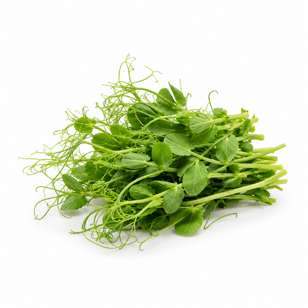 Pea Shoots