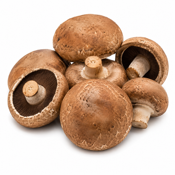 Portobello Mushroom