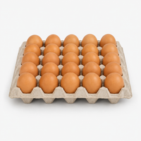P/P Brown Eggs