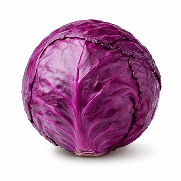 Red Cabbage