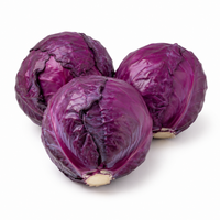 Red Cabbage