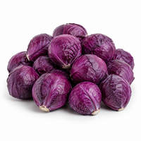 Red Cabbage