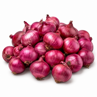 Red Onion