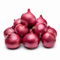 Red Onion