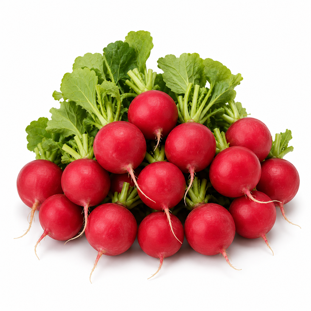 Red Radish